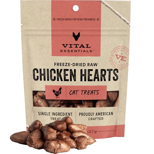 Best Raw Meat for Cats