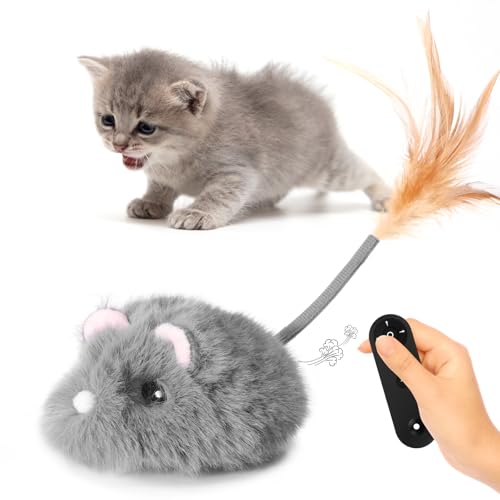 Best Remote Control Cat Toy for Endless Indoor Cat Entertainment