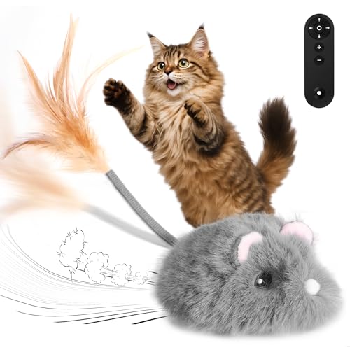 Best Remote Control Mouse for Cats