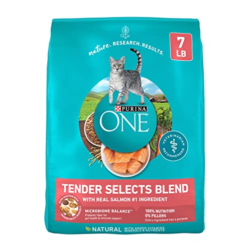 Best Salmon Dry Cat Food for Healthy, Happy, and Active Cats