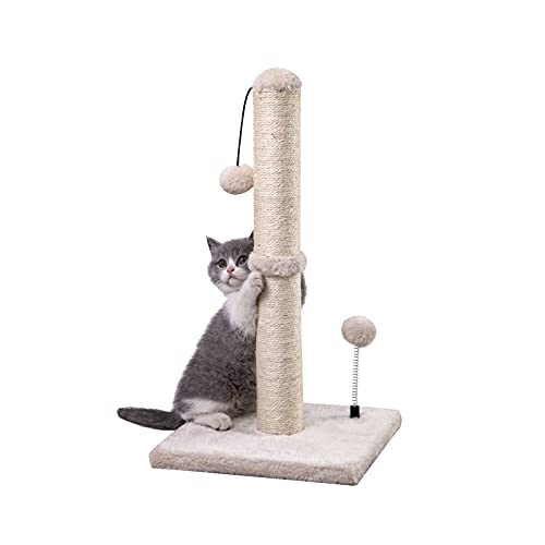 Best Scratch Post for Cats