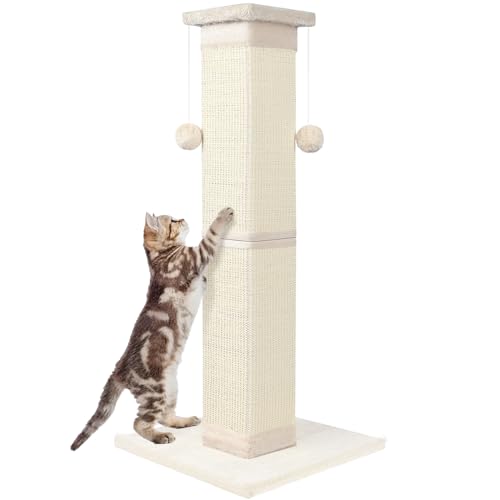 Best Scratch Post for Large Cats: Top Durable Sisal Scratching Posts