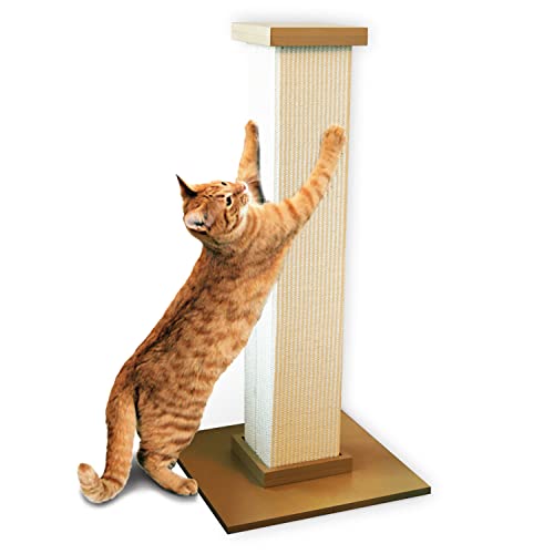 Best Scratching Post for Cats: Top Durable and Fun Choices Reviewed