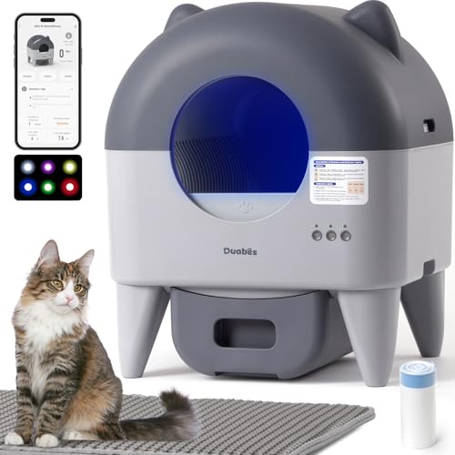 Best Self Cleaning Litter Box for Large Cats: Top Automatic Picks