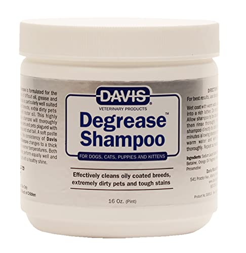 Best Shampoo for Greasy Cat Fur: Top Picks for Clean, Healthy Coats
