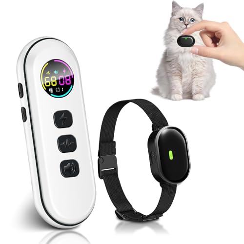 Best Shock Collar for Cats: Ultra-Light, Waterproof, Precise Control