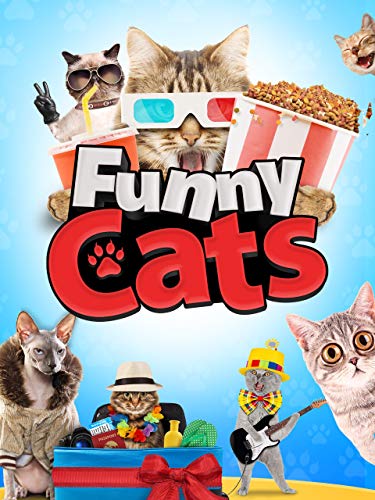 Best Short Funny Cat Videos to Brighten Your Day with Hilarious Cats