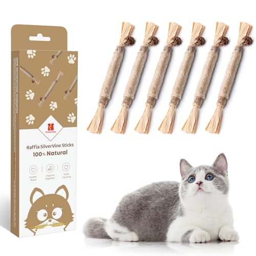 Best Silvervine Sticks for Cats: Top Natural Chew Toys for Dental Care