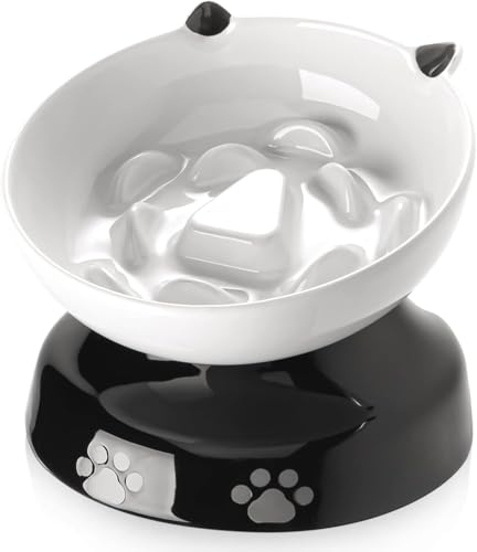 Best Slow Feeder Cat Bowl for Healthy, Mess-Free, and Fun Mealtime