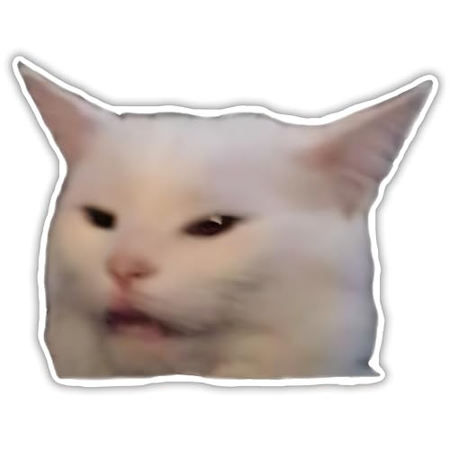 Best Smudge the Cat Memes Stickers and Gifts for Every Fan