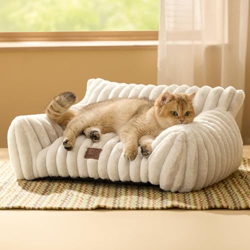 Best Sofas for Cat Owners: Cozy, Durable, and Stylish Pet Lounges