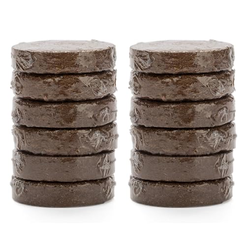 Best Soil for Cat Grass: Top Organic Potting Mixes for Healthy Growth