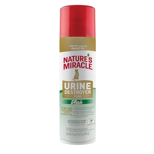 Best Solution for Cat Urine in Carpet: Top Enzymatic Cleaners Reviewed