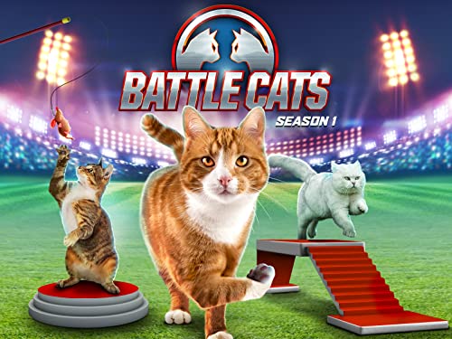 Best Special Cats in Battle Cats: Top Powerful Units to Dominate