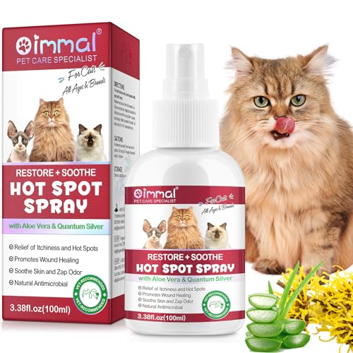 Best Spots to Pet a Cat