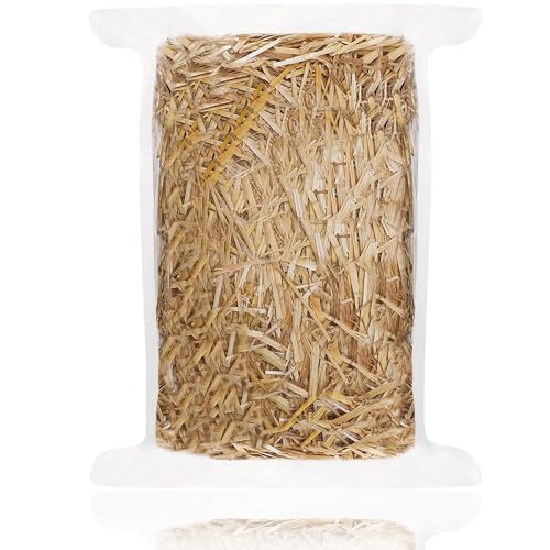 Best Straw for Cat Bedding: Top Natural & Soft Options for Comfort