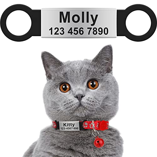 Best Tags for Cats on Instagram to Boost Your Pet’s Profile