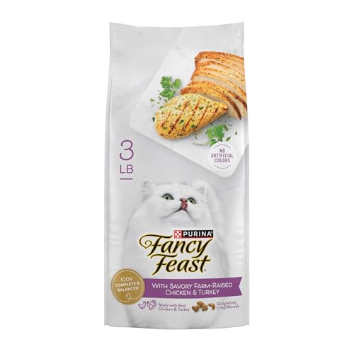 Best Tasting Dry Cat Food