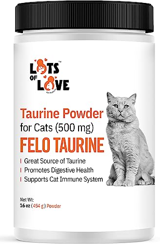 Best Taurine Supplement for Cats: Top Picks for Heart and Eye Health