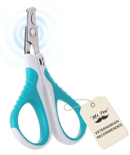 Best Things for Cat Owners: Top Gifts and Toys Cats Will Love