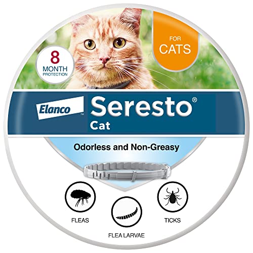 Best Tick Collar for Cats: Top Vet-Recommended Flea Protection Choices