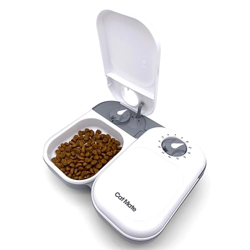 Best Time of Day to Feed Cats