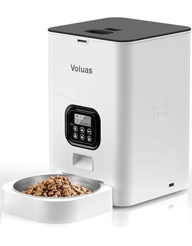 Best Time to Feed Cat: Optimize Meals with Automatic Feeders Guide