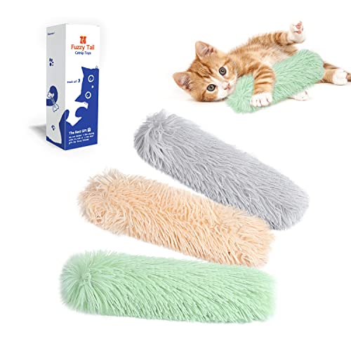 Best Toys for Blind Cats to Boost Play and Sensory Stimulation