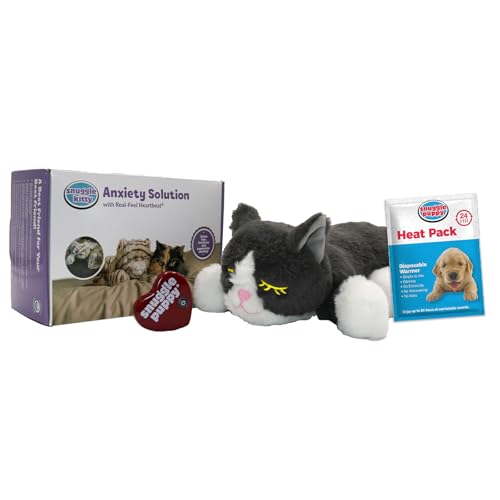 Best Toys for Cats With Separation Anxiety