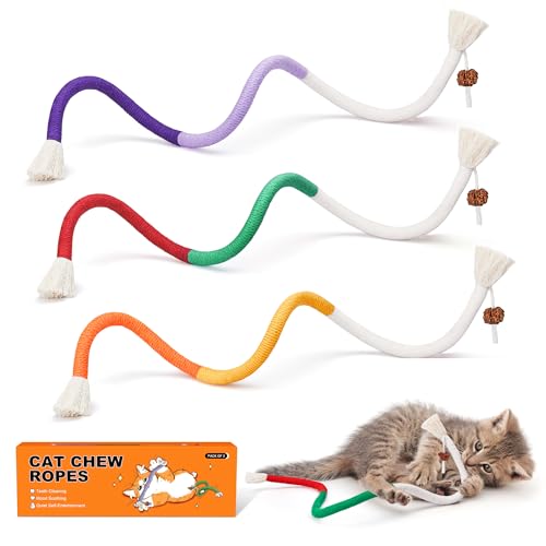 Best Toys for Maine Coon Cats