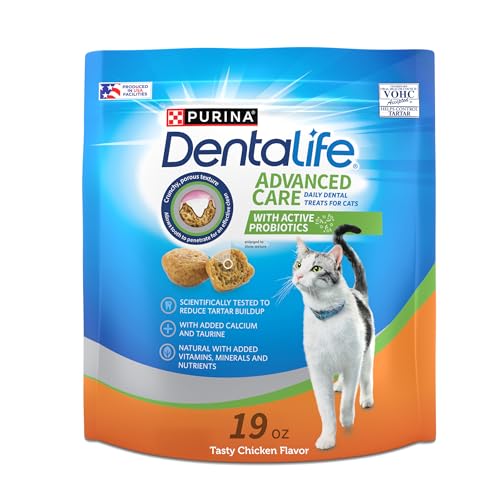 Best Treats for Cats Teeth: Top Dental Snacks for Healthy Smiles