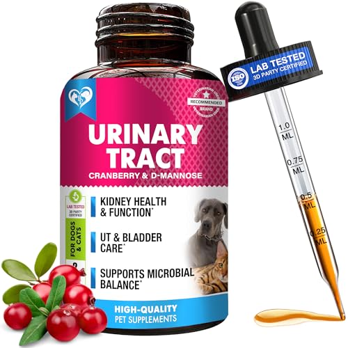 Best Urinary Tract Supplement for Cats to Prevent Infections Naturally