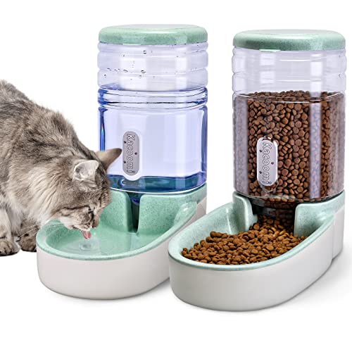 Best Water Feeder for Cats
