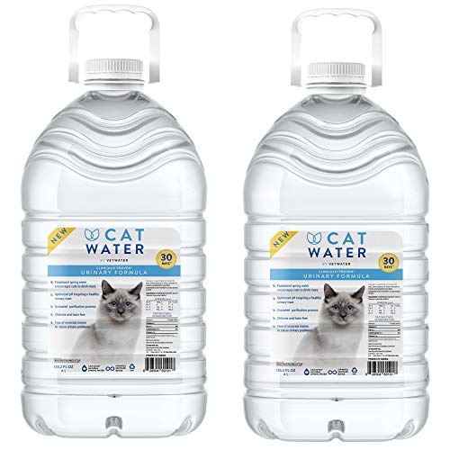 Best Water for Cats With Urinary Issues: Top Picks to Support Urinary Health