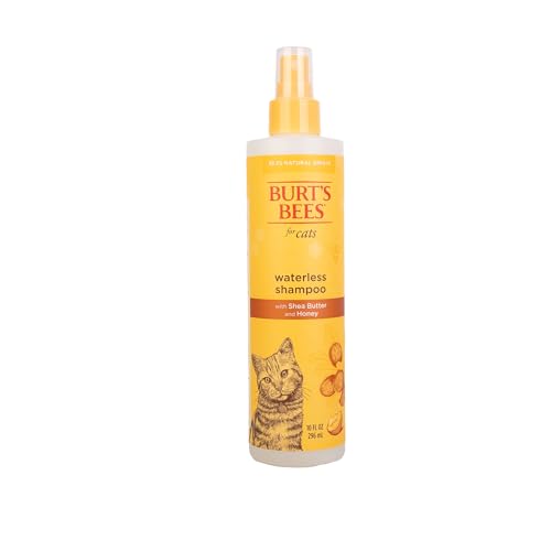 Best Waterless Shampoo for Cats: Gentle, Effective, and Vet-Recommended Solutions