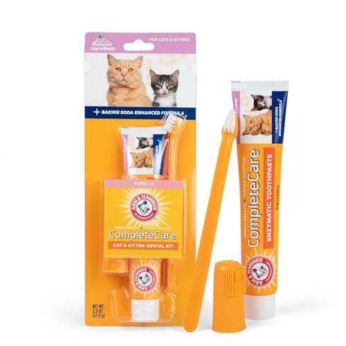 Best Way to Brush Cats Teeth: Top Dental Kits and Easy Techniques