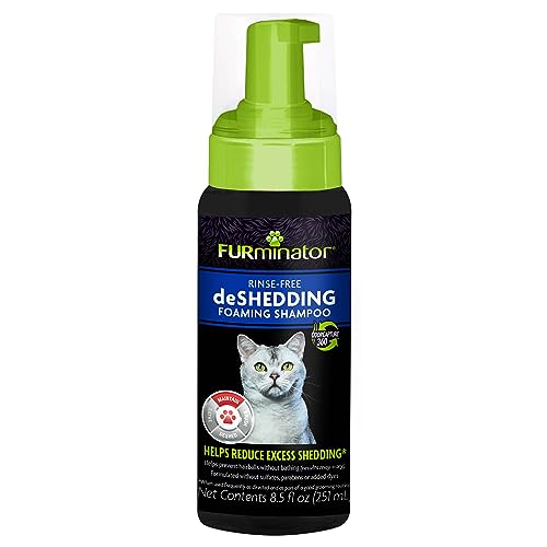 Best Way to Deshed a Cat: Top Tools and Tips for Shedding Control