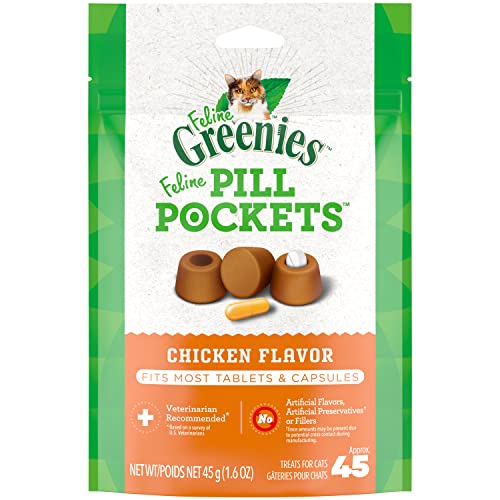 Best Way to Get a Cat to Take a Pill Using Pill Pockets and Tools