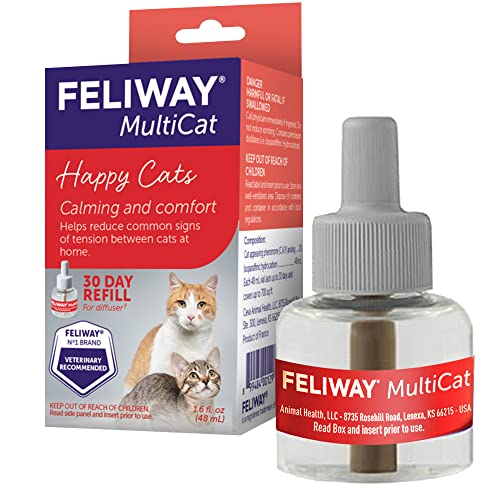 Best Way to Get Cat Food in Battle Cats: Top Picks and Tips