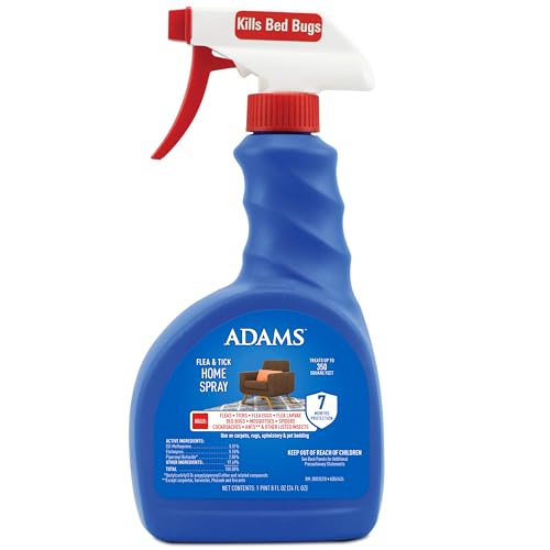 Best Way to Get Rid of Ticks on Cats