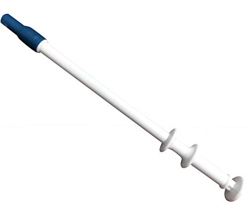 Best Way to Give Cat a Pill: Top Tools for Easy Medication Delivery