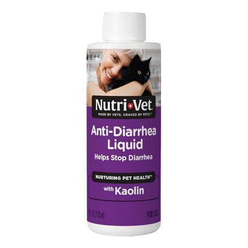 Best Way to Give Cats Liquid Medicine