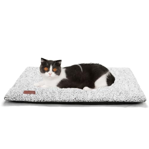 Best Way to Keep Cats Warm Outside: Top Heated Beds and Shelters Reviewed
