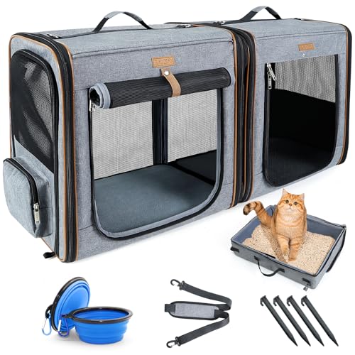 Best Way to Move a Cat Long Distance: Top Carriers and Travel Toys Reviewed