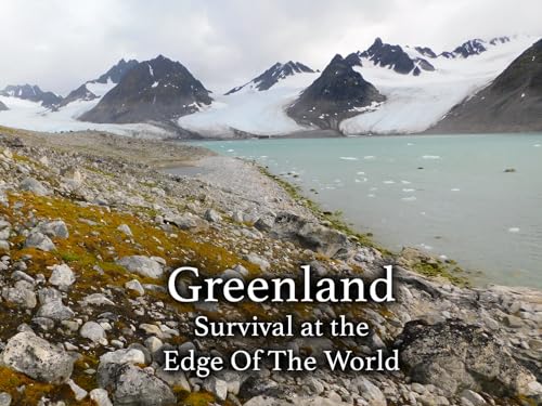 Best Way to Move Across Country With Cats: Tips for Stress-Free Travel