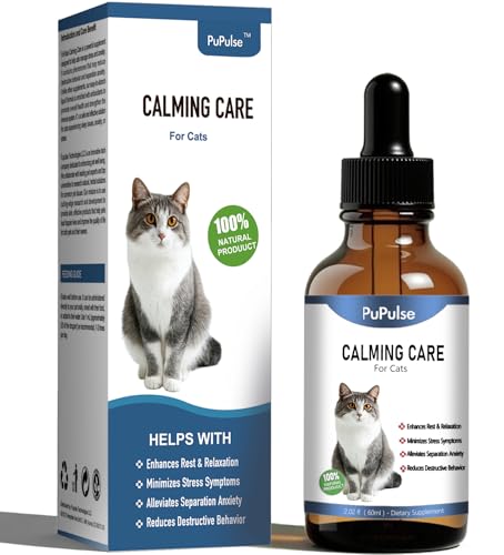 Best Way to Move With a Cat: Top Calming Products for Stress-Free Travel
