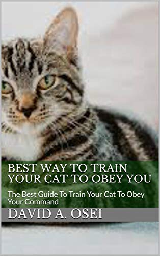 Best Way to Train a Cat