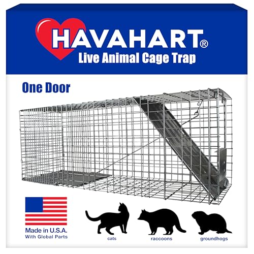 Best Way to Trap Cats Humanely Using Effective Live Animal Cage Traps