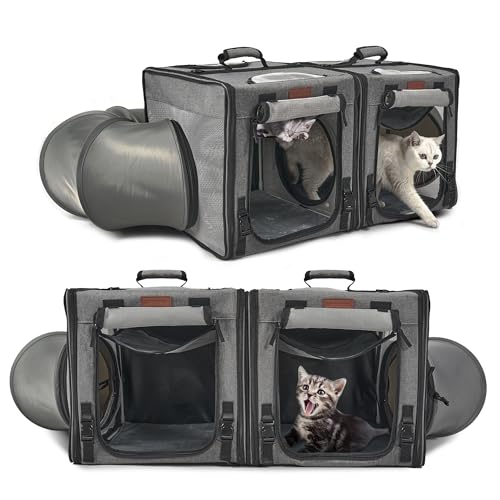 Best Way to Travel Cross Country With Cats Using Expandable Carriers