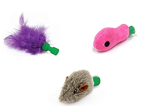 Best Ways to Play With Your Cat Using Interactive Toys and Mats